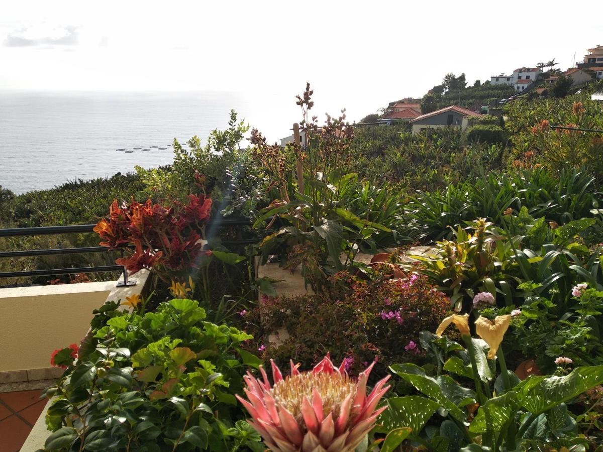 Apartamento Jardim Do Arco "Esmee" Arco da Calheta  Exterior foto