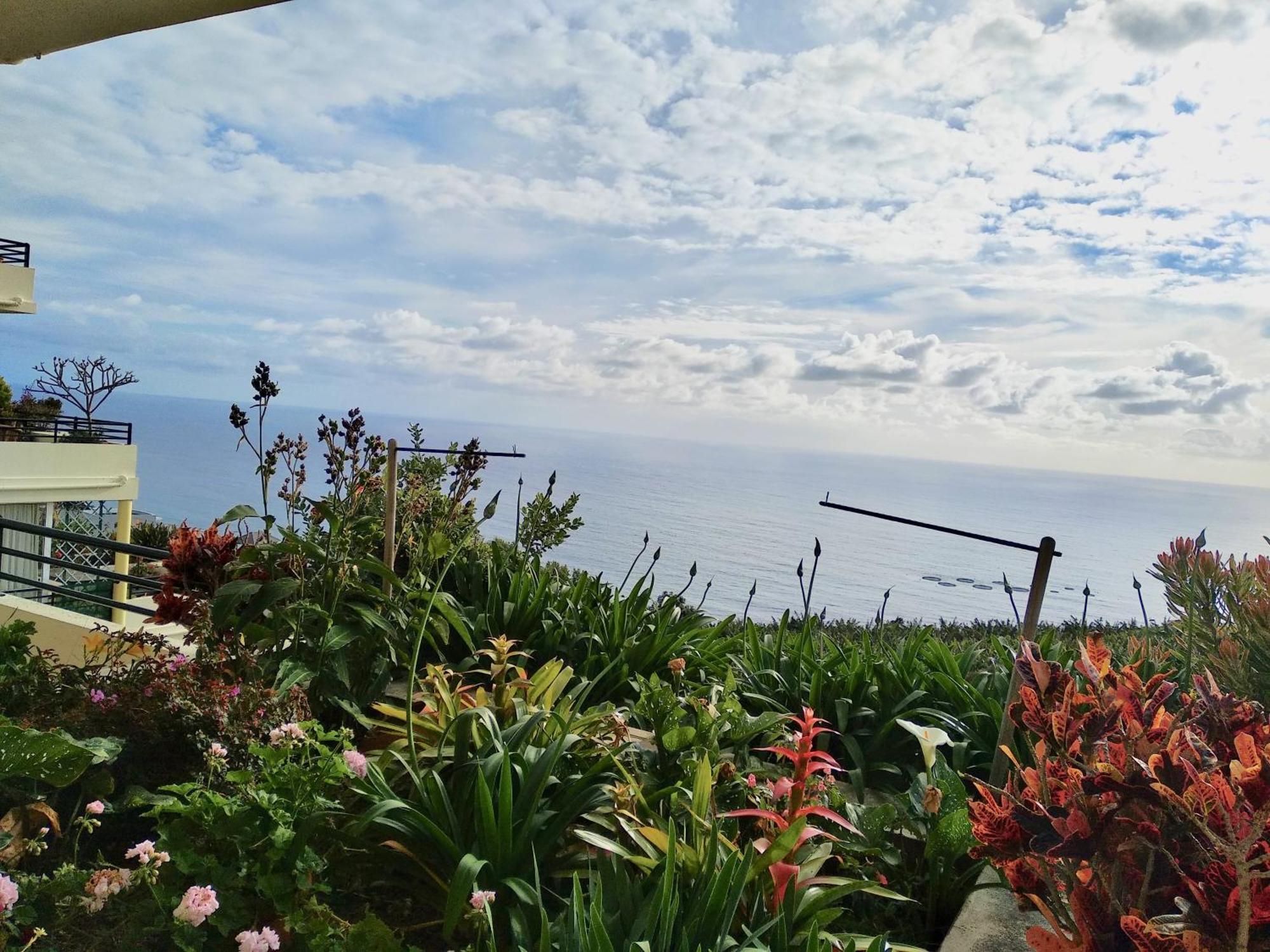 Apartamento Jardim Do Arco "Esmee" Arco da Calheta  Exterior foto